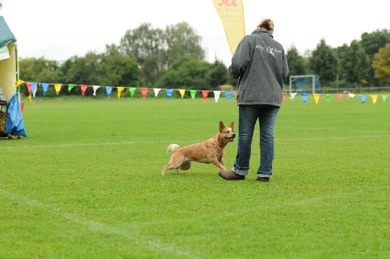 Image 178 of 855  -  219 kB