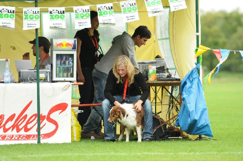 Image 179 of 855  -  257 kB