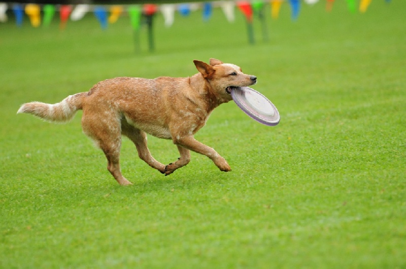 Image 181 of 855  -  190 kB