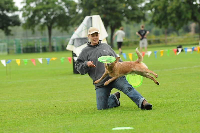 Image 182 of 855  -  223 kB