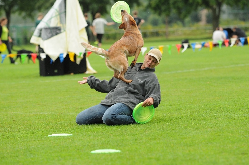 Image 183 of 855  -  221 kB