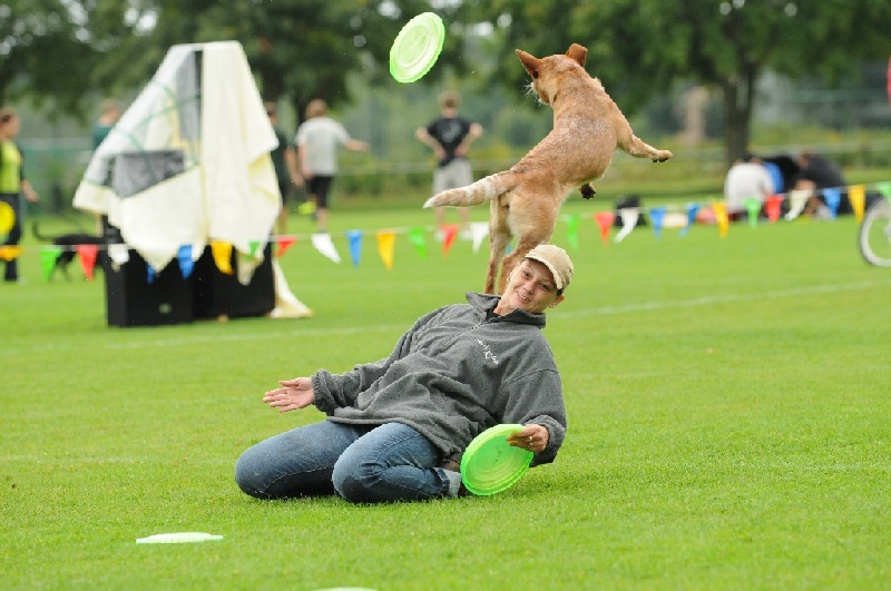 Image 184 of 855  -  221 kB