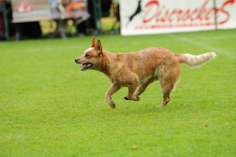 Image 185 of 855  -  191 kB