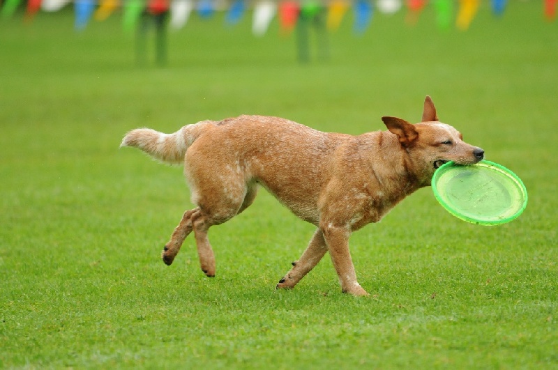 Image 186 of 855  -  206 kB