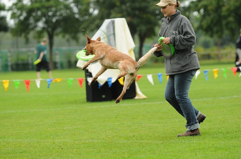 Image 187 of 855  -  221 kB