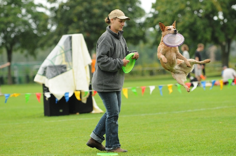 Image 188 of 855  -  217 kB