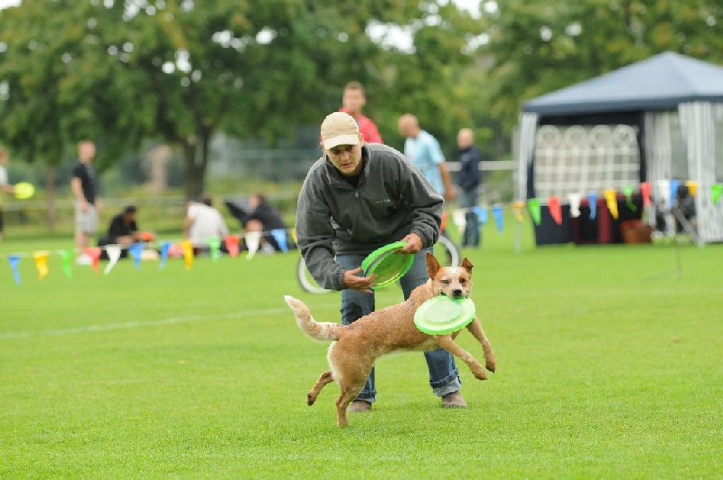 Image 189 of 855  -  218 kB