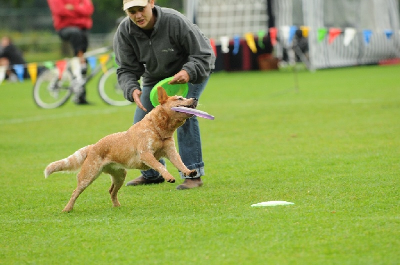 Image 190 of 855  -  201 kB