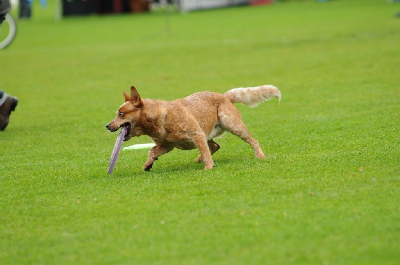 Image 191 of 855  -  195 kB