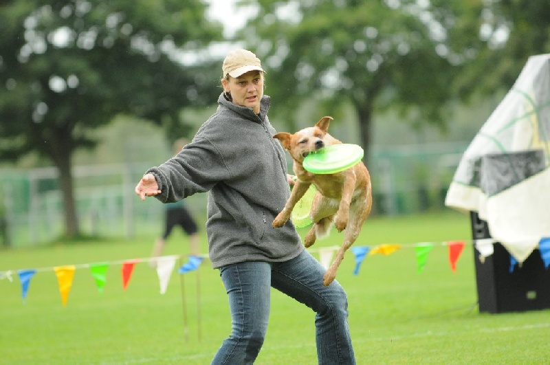 Image 192 of 855  -  192 kB