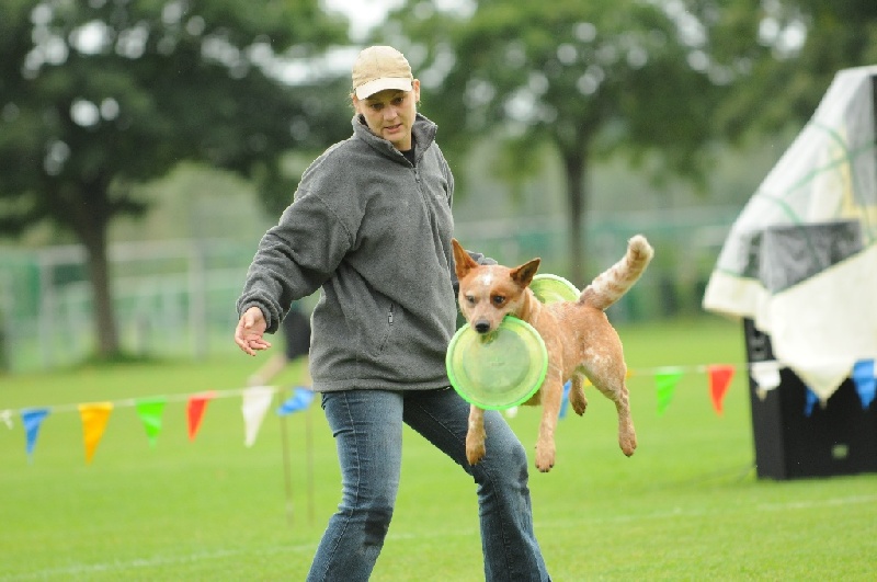 Image 193 of 855  -  193 kB