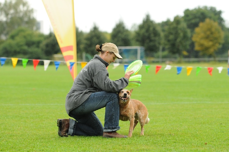 Image 194 of 855  -  206 kB