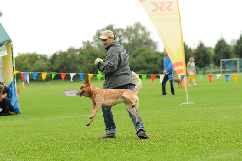 Image 196 of 855  -  206 kB