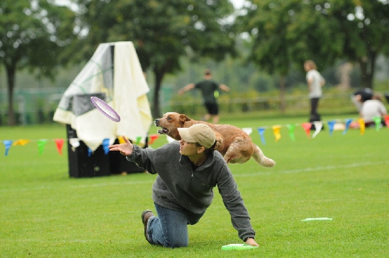 Image 197 of 855  -  213 kB