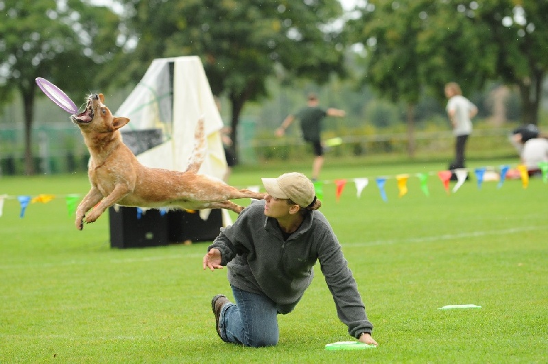 Image 198 of 855  -  217 kB