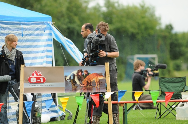 Image 199 of 855  -  241 kB