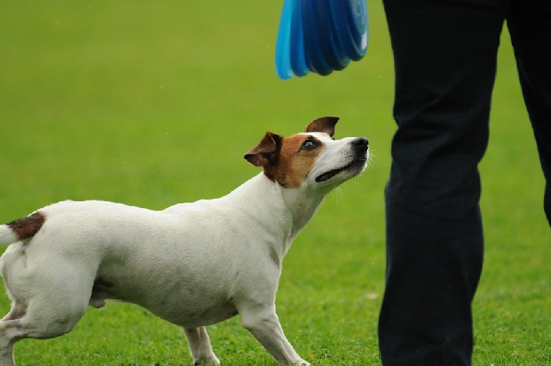 Image 200 of 855  -  180 kB