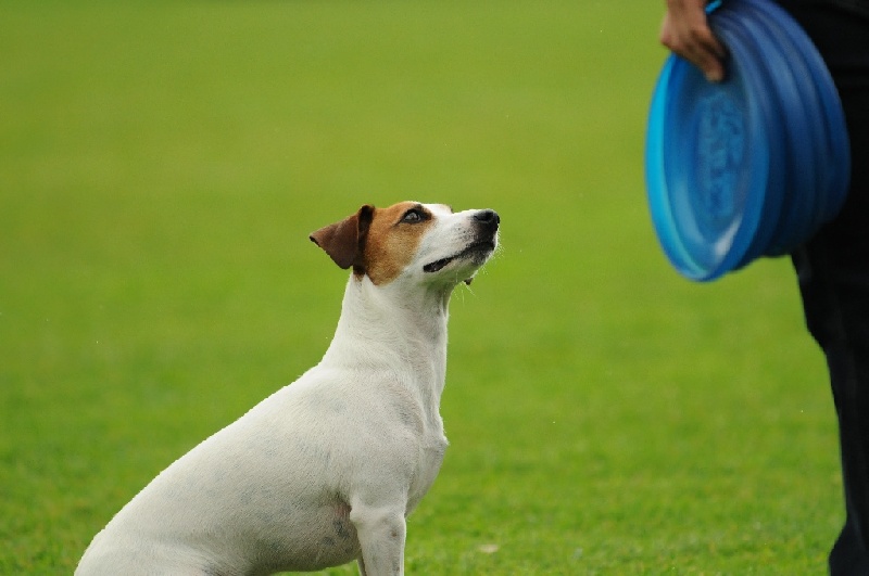 Image 201 of 855  -  164 kB