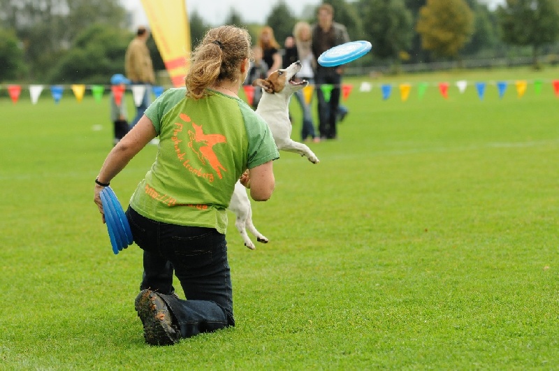 Image 205 of 855  -  229 kB