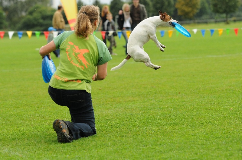 Image 206 of 855  -  233 kB