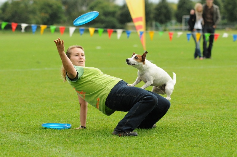 Image 207 of 855  -  224 kB