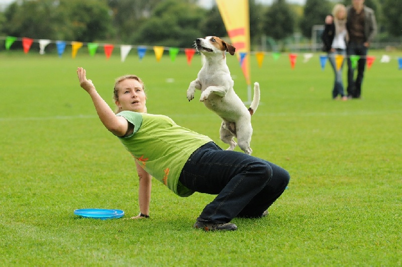 Image 208 of 855  -  224 kB