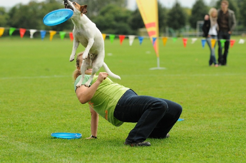 Image 209 of 855  -  219 kB