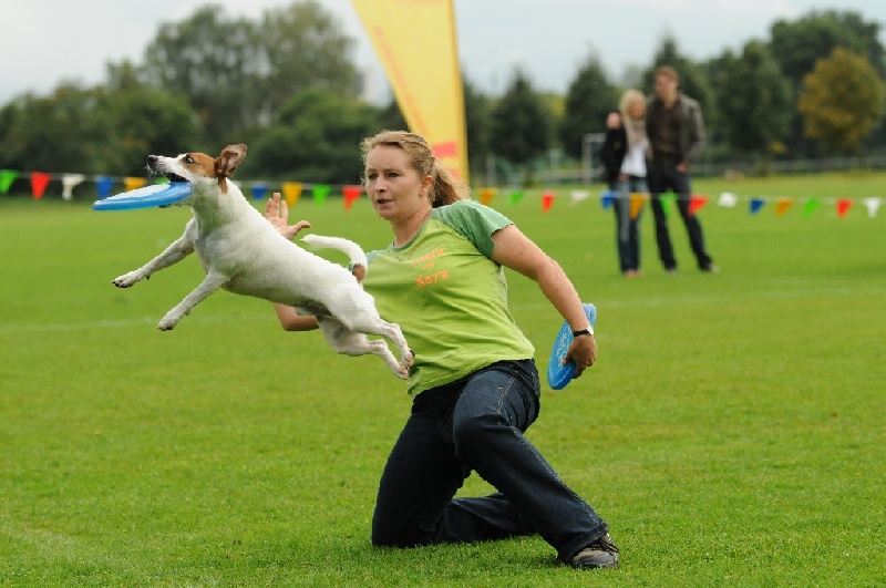 Image 212 of 855  -  215 kB