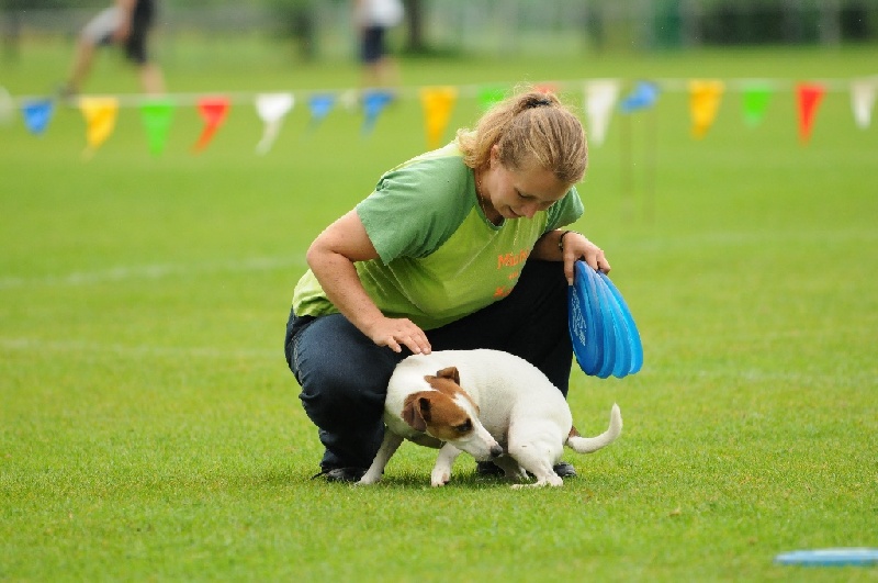 Image 213 of 855  -  197 kB