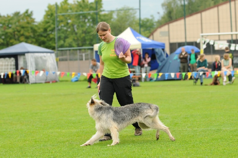 Image 214 of 855  -  222 kB