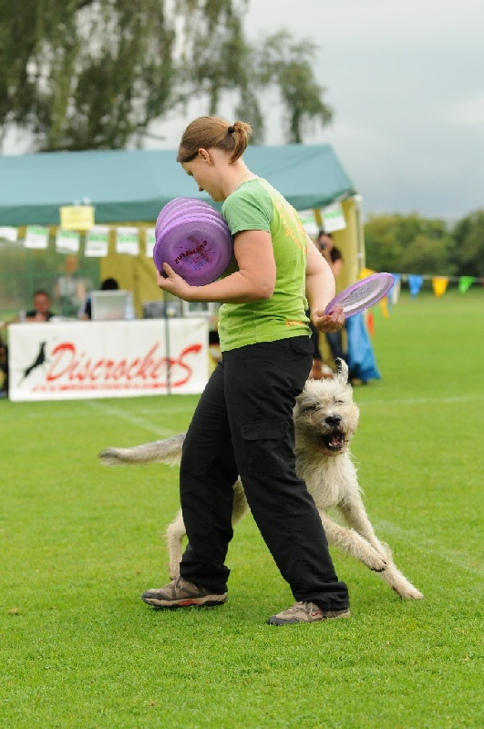 Image 215 of 855  -  222 kB