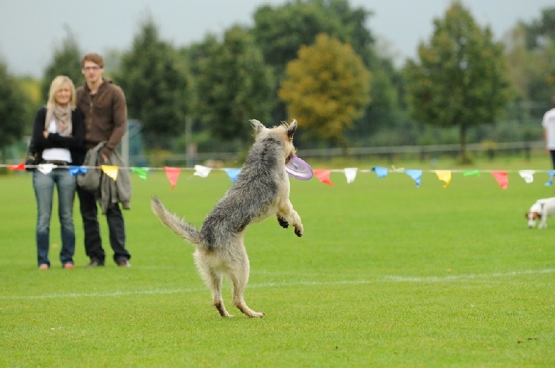 Image 216 of 855  -  203 kB