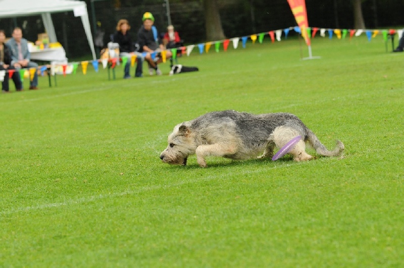 Image 217 of 855  -  218 kB