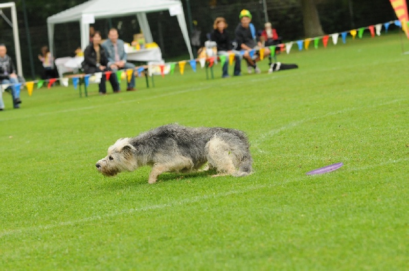 Image 218 of 855  -  222 kB