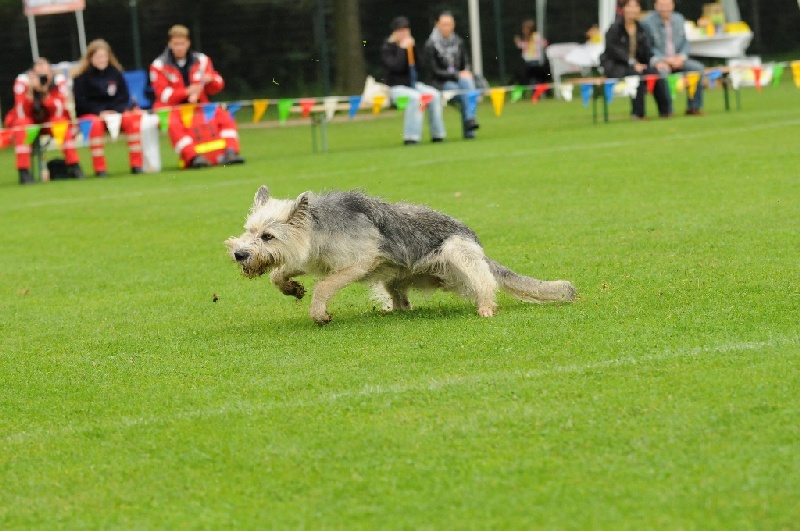 Image 219 of 855  -  228 kB