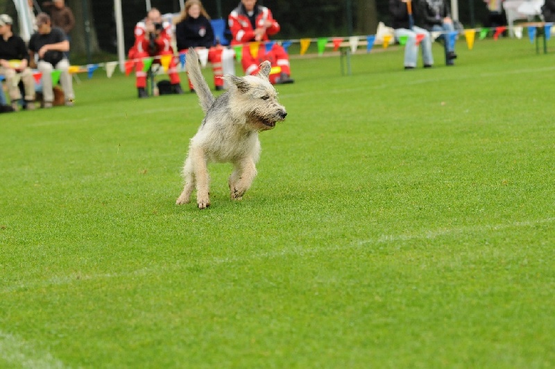 Image 220 of 855  -  226 kB