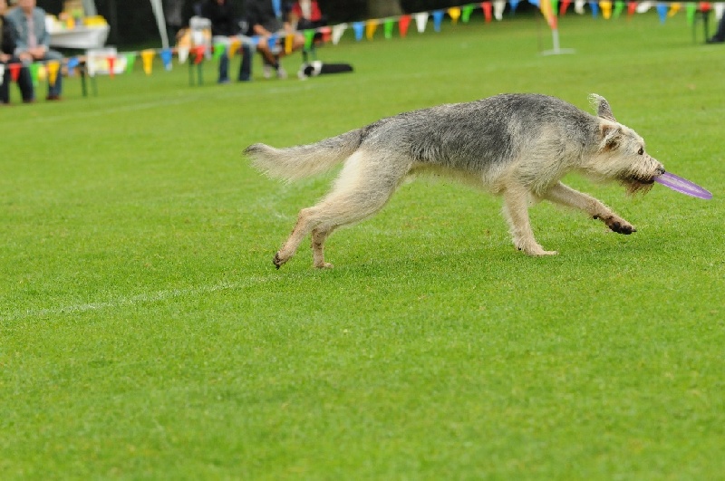 Image 222 of 855  -  229 kB