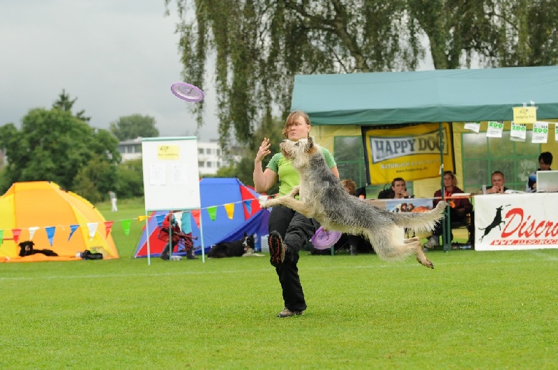 Image 223 of 855  -  247 kB