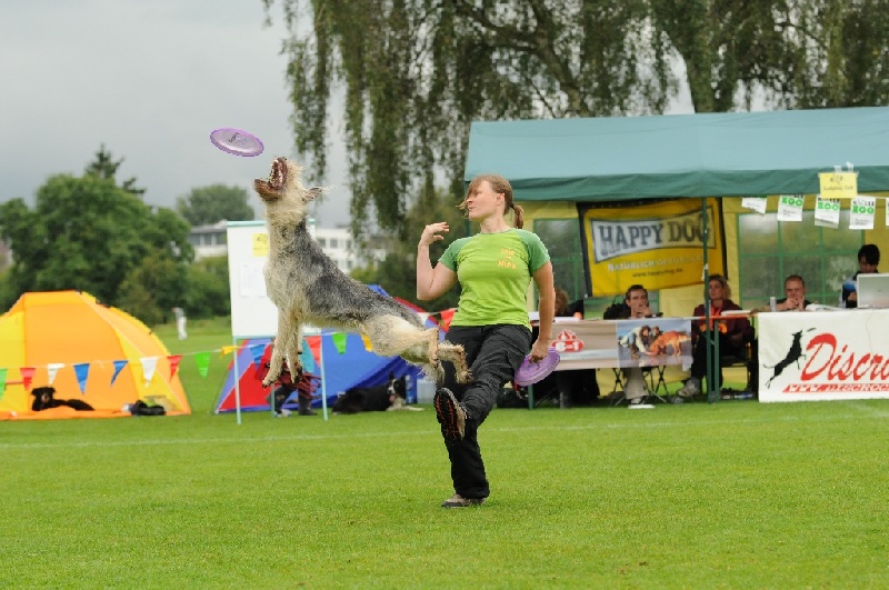 Image 224 of 855  -  247 kB