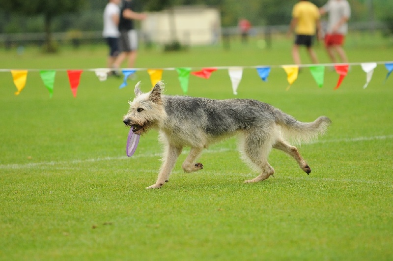 Image 225 of 855  -  201 kB