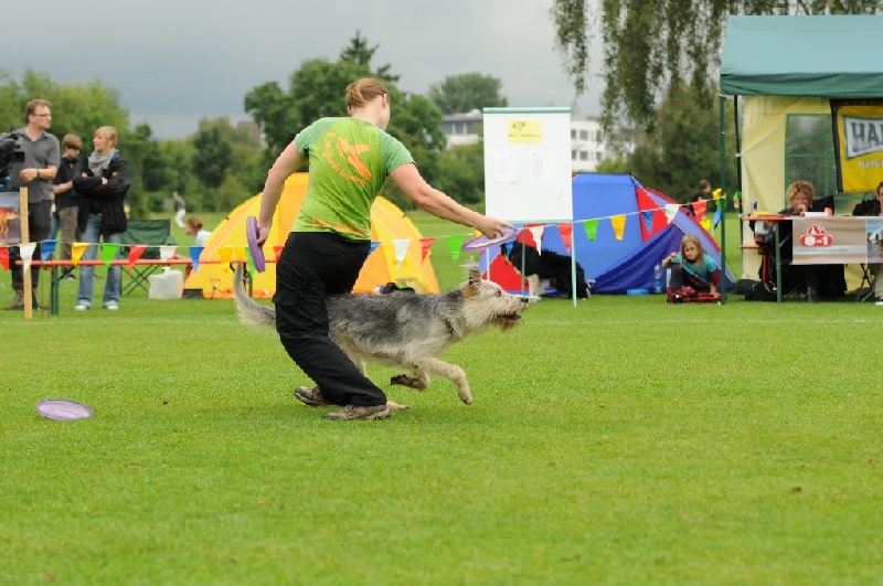 Image 227 of 855  -  239 kB