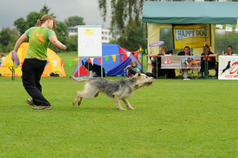 Image 228 of 855  -  242 kB