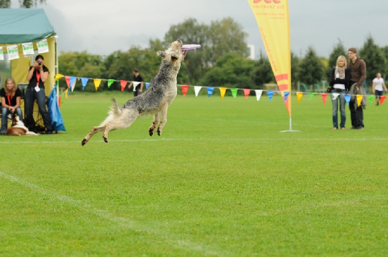 Image 229 of 855  -  223 kB