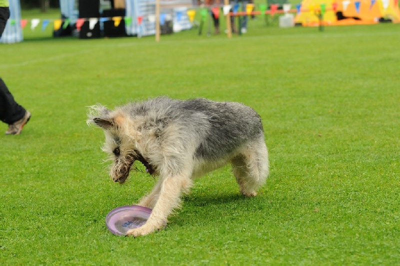 Image 230 of 855  -  241 kB