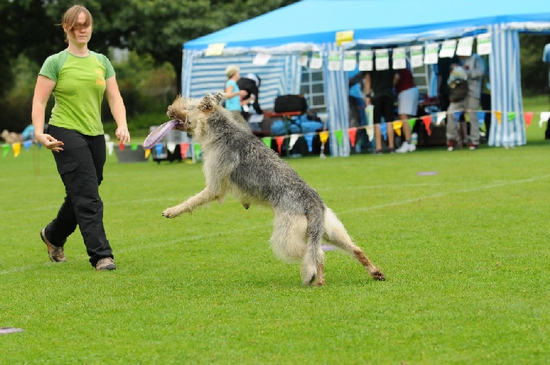 Image 233 of 855  -  248 kB