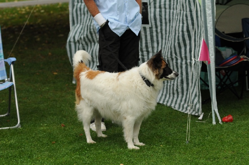 Image 234 of 855  -  238 kB