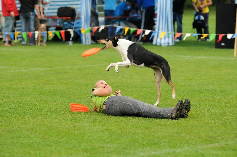 Image 236 of 855  -  234 kB