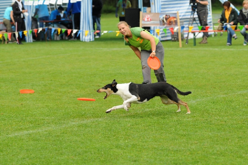 Image 237 of 855  -  250 kB