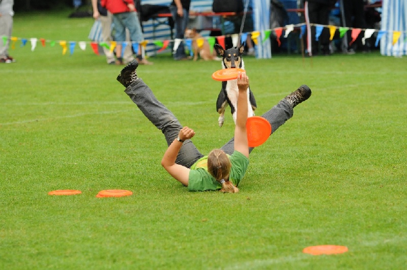 Image 238 of 855  -  231 kB