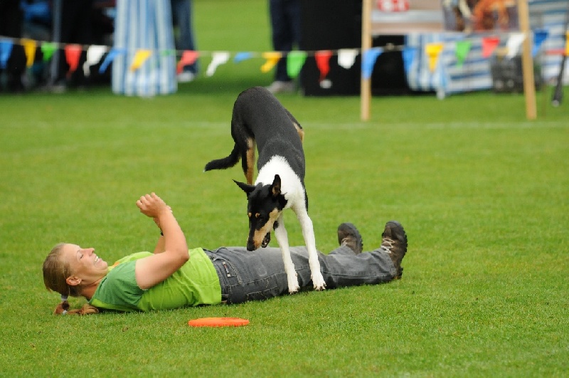 Image 239 of 855  -  218 kB